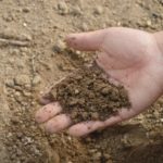 soil-hand-farm-garden-fertilizer-compost-organic